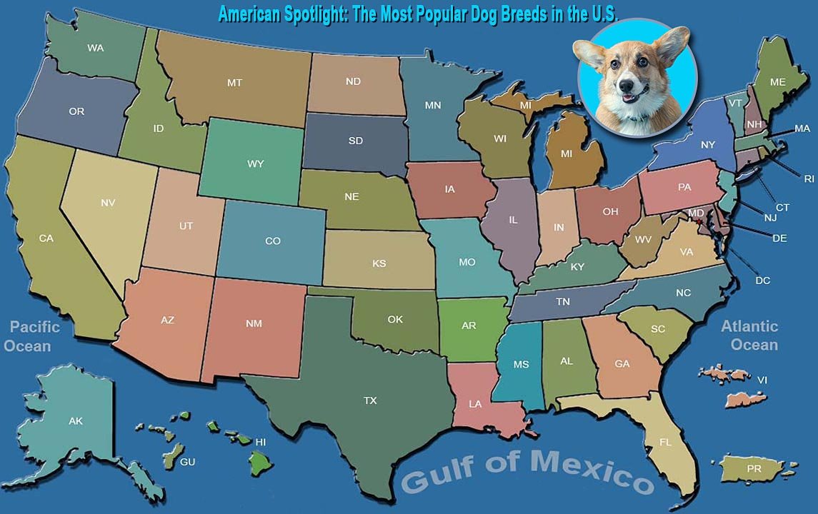 The Songs Across America Project