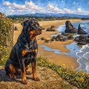 rottweiler-